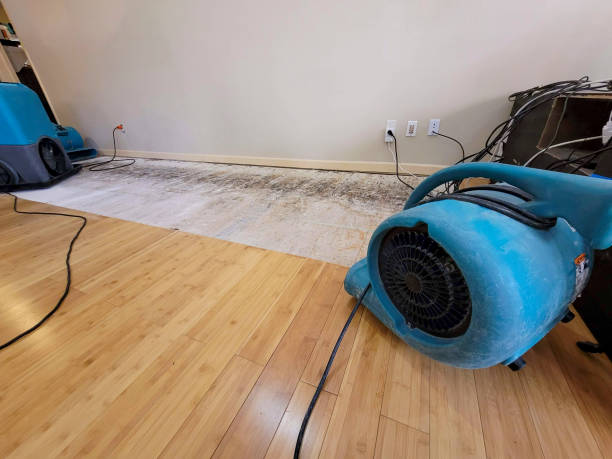 Professional Emergency Water Damage technician working in Chandler, MN